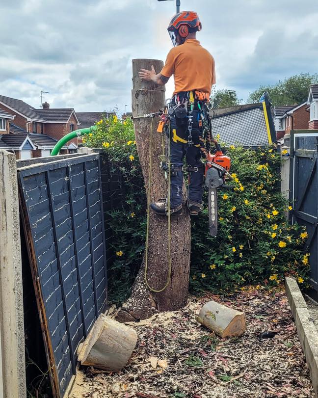 Tree Pruning in Leicester, Coalville, Loughborough
